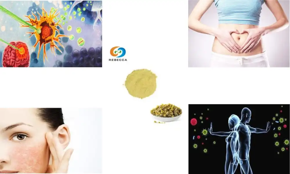 What is chamomile flower extract good for? What is chamomile flower extract good for?